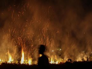 Waspada! Lahan di Riau Kembali Membara