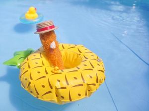 Tampil Modis Seperti Model, Udang Goreng Ini Viral di Media Sosial