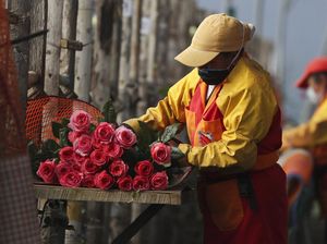 Industri Bunga Ekuador Berjuang Pulih di Tengah Pandemi Industri Bunga Ekuador Berjuang Pulih di Tengah Pandemi