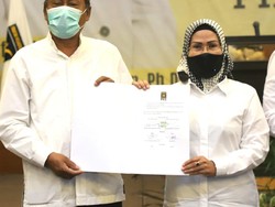 Harta Kekayaan Calon di Pilkada Kabupaten Serang, Ratu Tatu Paling Tajir