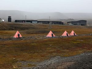 Serangan Beruang Kutub Tewaskan 1 Orang di Lokasi Kemah Ini