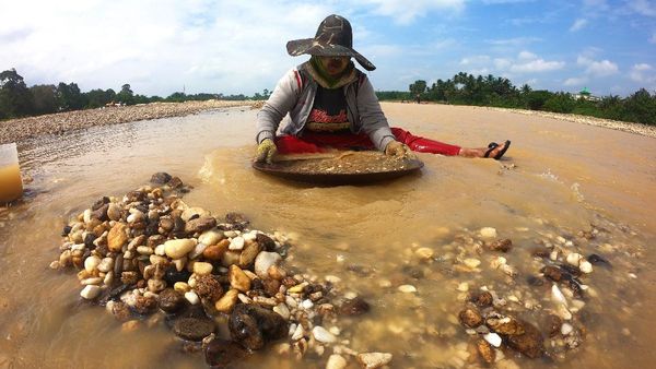 Geliat Aktivitas Penambang Emas Tradisional di Jambi