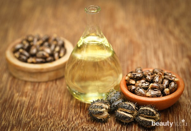 Minyak Jarak/Freepik.com minyak jarak