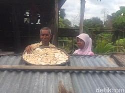 Pulau di Buton yang Dijual di Situs Jual Beli Hanya Dihuni Sepasang Lansia