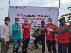 Pertamina Beri Sertifikasi ke 219 Penambak Udang agar Naik Kelas