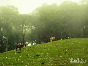 Sisi Lain NTT yang Cantiknya Bak Negeri Dongeng