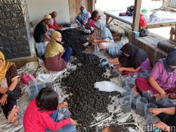 Briket Batok Kelapa RI Jempolan, Mendag Diminta Bantu Ekspor