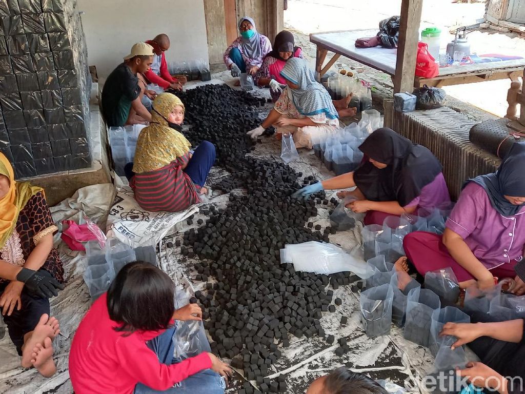 Briket Batok Kelapa RI Jempolan, Mendag Diminta Bantu Ekspor Briket Batok Kelapa RI Jempolan, Mendag Diminta Bantu Ekspor