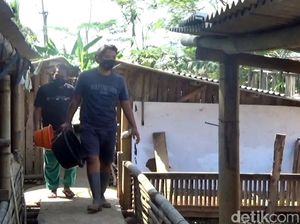 Kisah Ricky Polisi di Sukabumi Beternak Bebek-Bantu Ekonomi Warga Kisah Ricky Polisi di Sukabumi Beternak Bebek-Bantu Ekonomi Warga