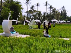 Cerita Pemilik Wisata SvargaBumi Bagi Hasil Sawah dengan Petani