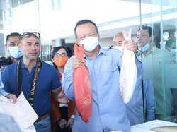 Pengusaha Nilai Kebijakan KKP Bikin Usaha Perikanan NTT Bergairah