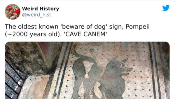 Kumpulan Foto Langka Bersejarah, Ada Queen Elizabeth II Kondangan