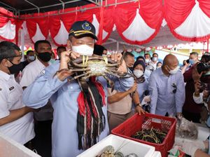 Edhy Prabowo Apresiasi Pelaku Usaha & Stake Holder Perikanan di Maluku Edhy Prabowo Apresiasi Pelaku Usaha & Stake Holder Perikanan di Maluku