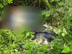 Mayat Wanita dengan Leher Tergorok Ditemukan dalam Parit, Diduga Dibunuh