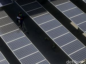 Batam Bakal Punya PLTS buat Pasok Listrik Bebas Polusi Batam Bakal Punya PLTS buat Pasok Listrik Bebas Polusi