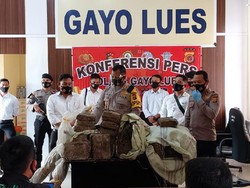 Jual Ganja 65 Kg, Petani di Aceh Ditangkap