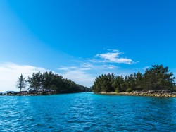 KNKT Pastikan Sriwijaya SJ182 Tak Lewati Awan Berbahaya Sebelum Jatuh