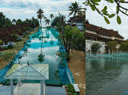 Pandemi Corona, Resort Mewah Ubah Kolam Renang Jadi Kolam Ikan