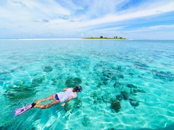 Wisata Selam Indonesia Terbaik di Dunia, 4 Kali Berturut-turut