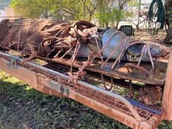Buaya Sepanjang 4,4 Meter Ditangkap di Area Wisata Australia