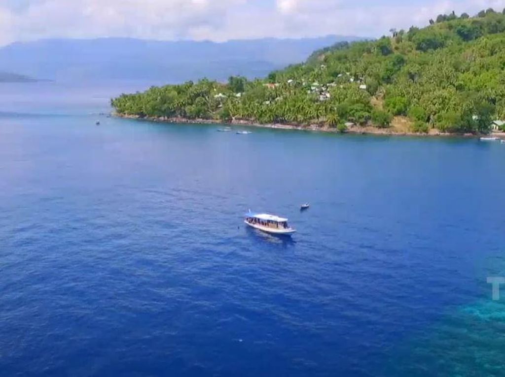 Celebrity on Vacation: Menyelami Bawah Laut Pulau Alor NTT Celebrity on Vacation: Menyelami Bawah Laut Pulau Alor NTT