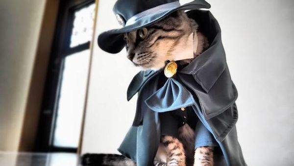 Gemasnya Si Kucing Berpakaian Cosplay Karakter Anime