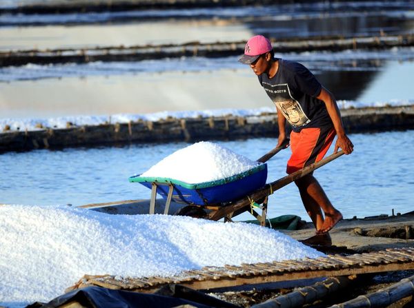 Harga Garam Naik, Petani Madura Senang