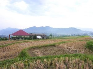 Pariangan, Desa Indah di Kaki Gunung Marapi