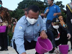 Kunjungi Pulau Maratua, Edhy Prabowo Lepas Tukik & Tanam Mangrove Kunjungi Pulau Maratua, Edhy Prabowo Lepas Tukik & Tanam Mangrove