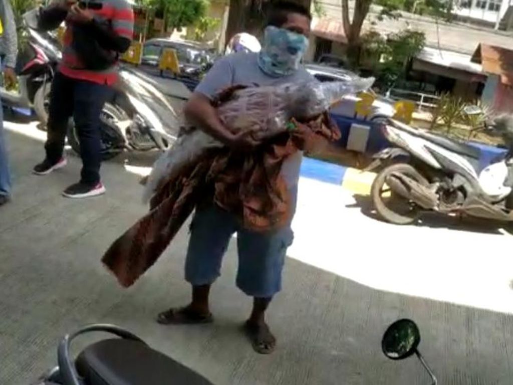 Kronologis Jenazah Reaktif Corona di Jambi Dijemput Paksa Keluarga Kronologis Jenazah Reaktif Corona di Jambi Dijemput Paksa Keluarga