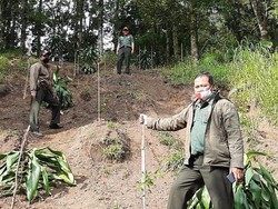 Rusak Lahan, Perhutani Larang Jip dan Trail Masuk Hutan