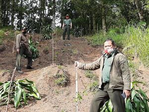 Rusak Lahan, Perhutani Larang Jip dan Trail Masuk Hutan Rusak Lahan, Perhutani Larang Jip dan Trail Masuk Hutan