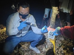 Nahas, Petani di Ngawi Tewas Tertimpa Dahan Saat Cari Kayu