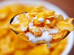 Menu Sarapan Populer Ini Dibuat Untuk Cegah Orang Masturbasi