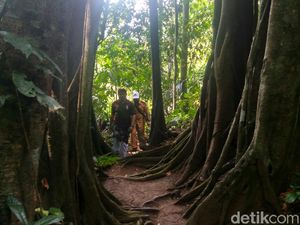 3 Hutan di Ciamis Ini Kental Cerita Mistis yang Menyeramkan 3 Hutan di Ciamis Ini Kental Cerita Mistis yang Menyeramkan