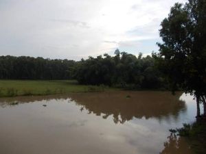 Serunya Menjelajahi Hutan Vietnam