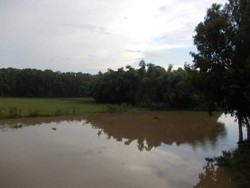 Serunya Menjelajahi Hutan Vietnam