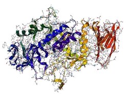 40+ Contoh Soal Biologi Kelas 12 Kurikulum Merdeka Beserta Kunci Jawabannya