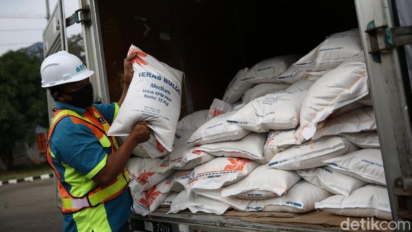 Kemensos dan Bulog Luncurkan Program Bantuan Sosial Beras