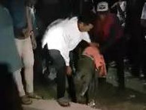 llmuwan LIPI Heran Babi Hutan Aneh di Sumsel Diviralkan Nangis Saat Diusir