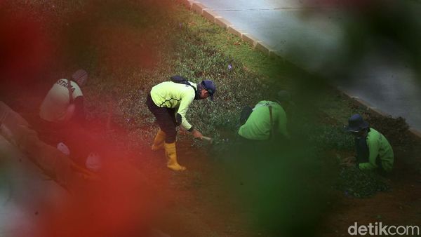 Taman Jalur Hijau di Jalan Sudirman Ditanami Tanaman Hias