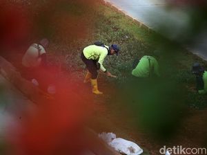 Taman Jalur Hijau di Jalan Sudirman Ditanami Tanaman Hias