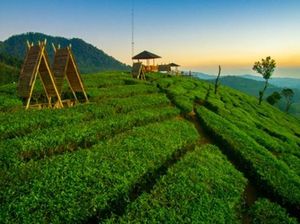 Menikmati Sunset di Wayang Windu Panenjoan, Pangalengan