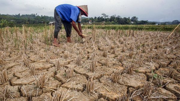 Jabar Mulai Terdampak Bencana Kekeringan