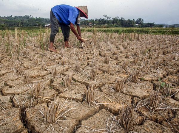 Jabar Mulai Terdampak Bencana Kekeringan