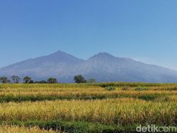 Long Weekend di Tengah Pandemi, Pendaki Arjuno-Welirang Dibatasi 500 Orang