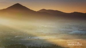Betapa Keren Kintamani dari Jawa Ini