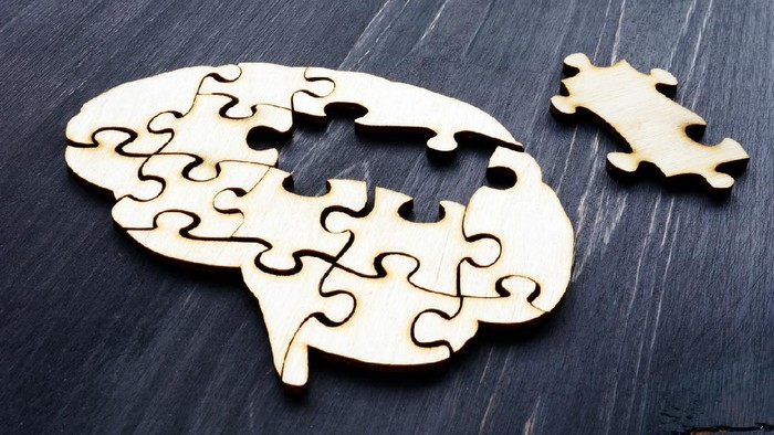Brain from wooden puzzles. Mental Health and problems with memory.