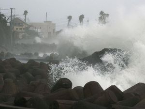 Kapal Kargo Pembawa 6.000 Ternak Hilang Diterjang Topan Maysak Kapal Kargo Pembawa 6.000 Ternak Hilang Diterjang Topan Maysak
