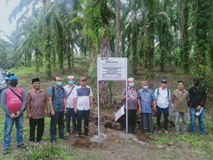 KPK Kembali Sita Kebun Sawit Milik Nurhadi di Sumatera Utara